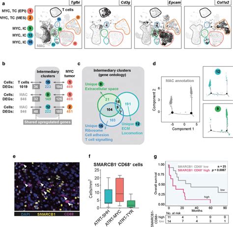 Extensive Exchange Of Gene Expression Programs Between Tumor And Immune