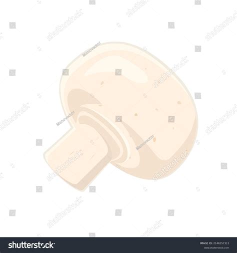 Mushroom Isolated On White Background Vector Stock Vector (Royalty Free) 2146557313 | Shutterstock