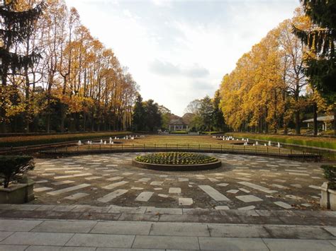 栃木県中央公園の紅葉 画像3枚目 ｜紅葉名所2024