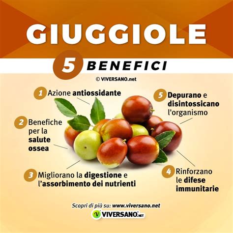 Giuggiole proprietà calorie come si mangiano e benefici del frutto