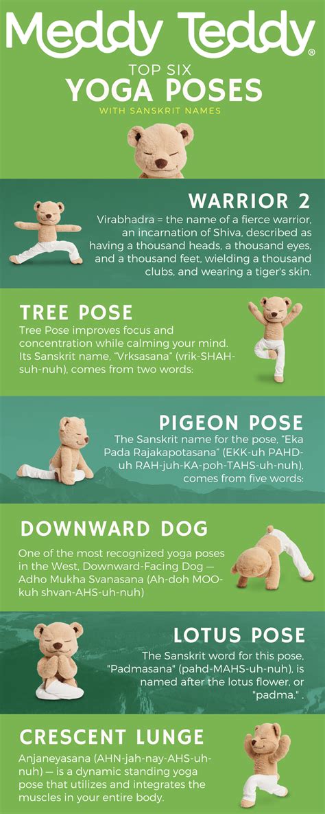 Top 6 Yoga Poses with Sanskrit Names – Meddy Teddy