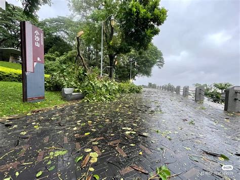 Typhoon Saola Weakens After Landfall Leaves Trail Of Destruction In