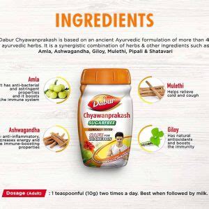 Dabur Chyawanprakash Sugarfree - Big Value Shop