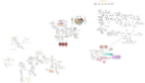 Solution Anatomy Physiology Mindmap Studypool