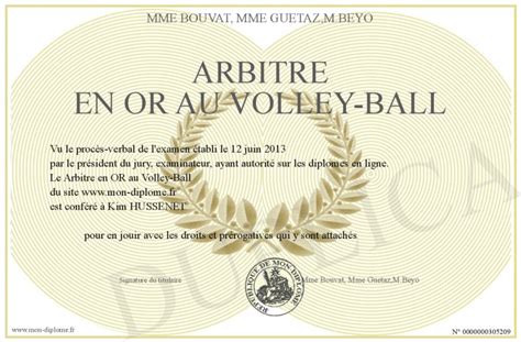 Arbitre En Or Au Volley Ball