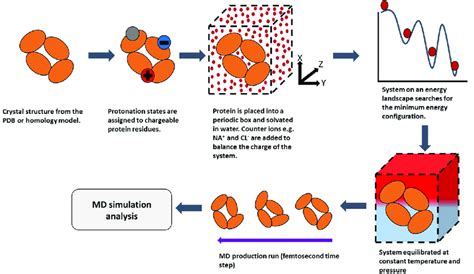 A Schematic Of The Molecular Dynamics Process Download Scientific