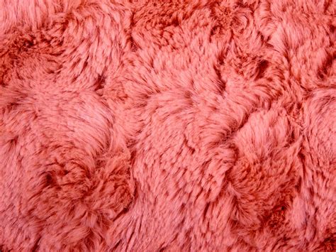 Red Fur Background Free Stock Photo Public Domain Pictures