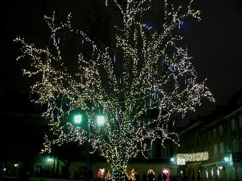 Rynek Nowego Miasta Garnek Pl