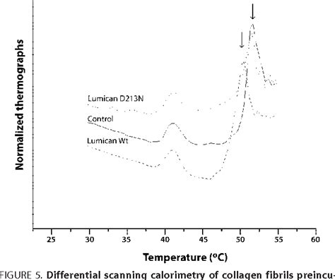 Figure From Homologous Sequence In Lumican And Fibromodulin Leucine