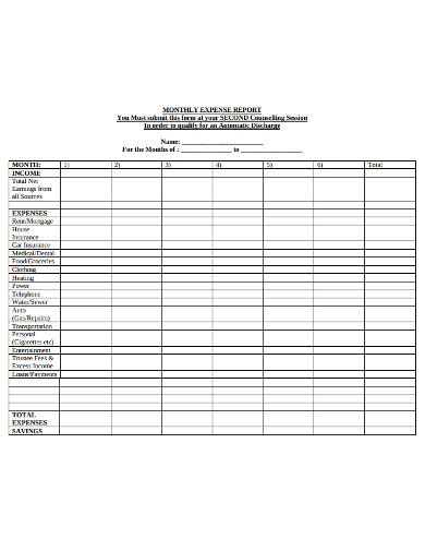 Monthly Expense Report 11 Examples Format Pdf