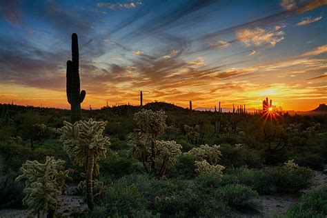 Desert Evening Light Photograph By Saija Lehtonen Fine Art America