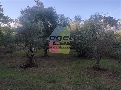 Terreno Agricolo Contrada Trimarchisa Castiglione Di Sicilia Rif