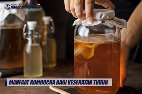 Manfaat Kombucha Bagi Kesehatan Tubuh Salah Satunya Dipercaya Bisa