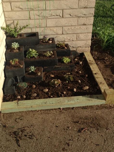 Succulent Garden With Painted Cinder Blocks Succulents Garden Garden