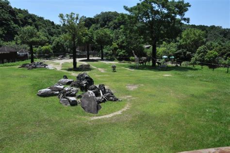 高知縣立野市動物公園｜觀光｜visit Kochi Japan