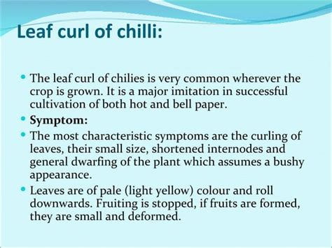 Major diseases of chilli | PPT