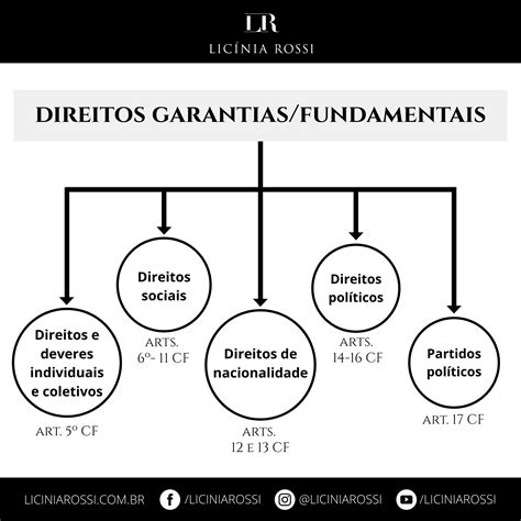 Mapa Mental Direitos E Garantias Fundamentais Librain