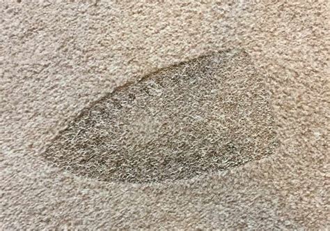 How To Get Burns Out Of Carpet 10 Simple Steps Oh So Spotless