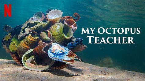 Crazy Eddie's Motie News: 'My Octopus Teacher' wins Best Science/Nature Documentary and Best ...