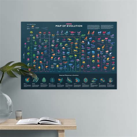 Kurzgesagt Map Of Evolution Poster Hobbies Toys Stationary Craft