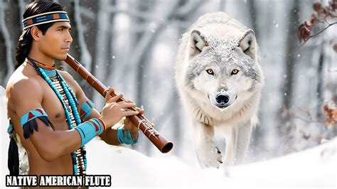 Remove All Negative Energy Native American Flute Music To Detox