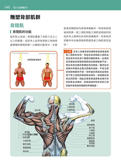 基礎肌力訓練解剖聖經 居家阻力訓練超過 200 種動作與 50 套課表