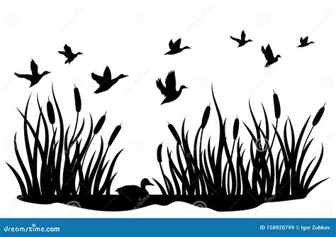 A Flock Of Wild Ducks Flying Over A Pond With Reeds Black And White