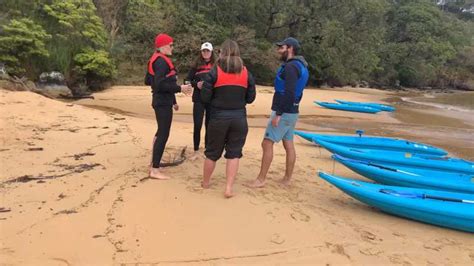 Sydney: Guided Clearview Kayak Tour of Manly Cove Beaches | GetYourGuide