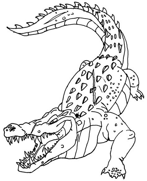 Desenhos De Crocodilo Para Colorir Bora Colorir