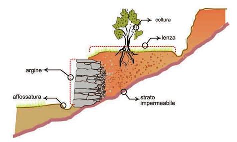 Schema Di Terrazzamento Fonte La Gestione Delle Sistemazioni