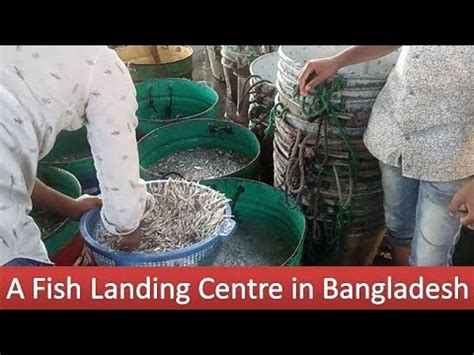 A Fish Landing Centre In Bangladesh Kaptai Lake BFDC Rangamati