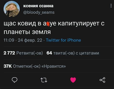 Капитуляция | Пикабу
