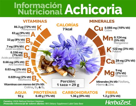 Achicoria Herbazest