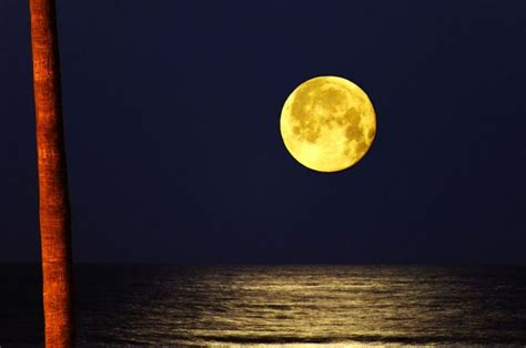 Full Moon Over Huntington Beach California Fliiby Magical