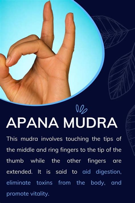 Hand Mudras And Their Meanings Apana Mudra Mudras Hand Mudras