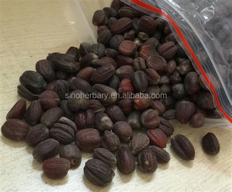 Jojoba Seeds For Planting Buy Jojoba Seeds For Salejojoba Seeds