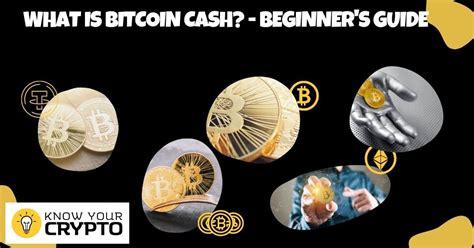 What Is Bitcoin Cash Beginner S Guide Sanshuinu Know Your Crypto