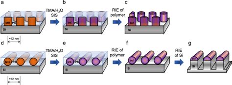 Schematic Illustration Of The Sequential Infiltration Synthesis And Dry