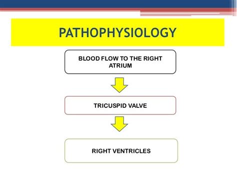 Tricuspid valve stenosis