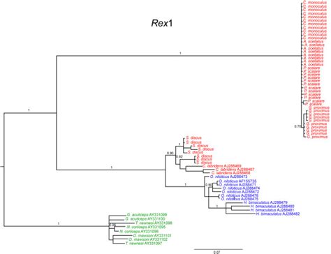 Bayesian Tree For Reverse Transcriptase Nucleotide Sequences Revealing