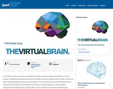 Brain Simulation Section: The Virtual Brain videos now in INCF training ...