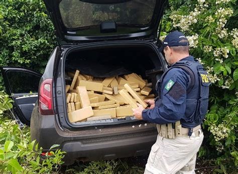 Adolescente é flagrado pela PRF quase meia tonelada de maconha em