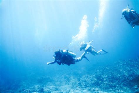 Gliding Beneath The Waves Three Scuba Divers Peacefully Explore The