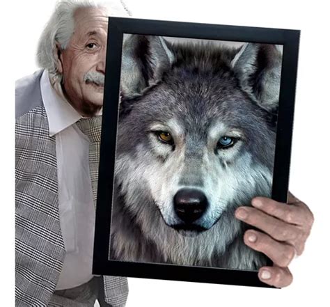 Quadro E Moldura Wolf Lobisomem Alcateia Lobos A X Cm