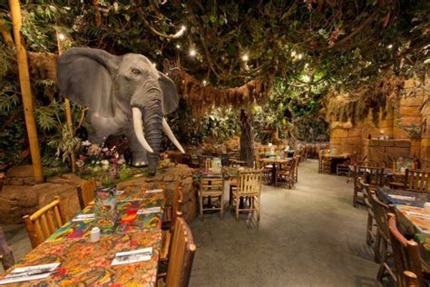 Le Rainforest Cafe Au Disney Village Lance Son Site Internet