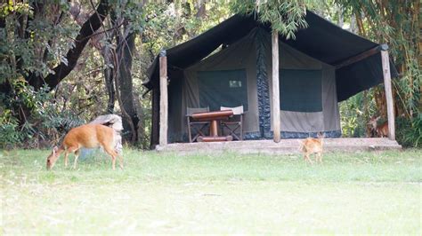 SIANA SPRINGS TENTED CAMP