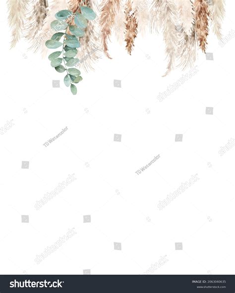 Green Grass Herbs Border Painted Watercolor Images Browse Stock