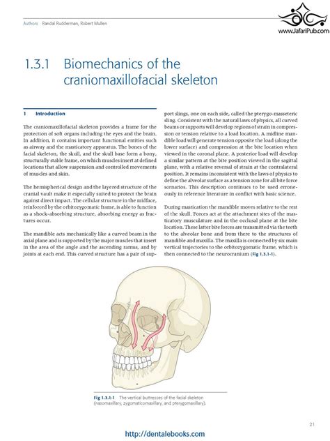 Principles Of Internal Fixation Of The Craniomaxillofacial Skeleton