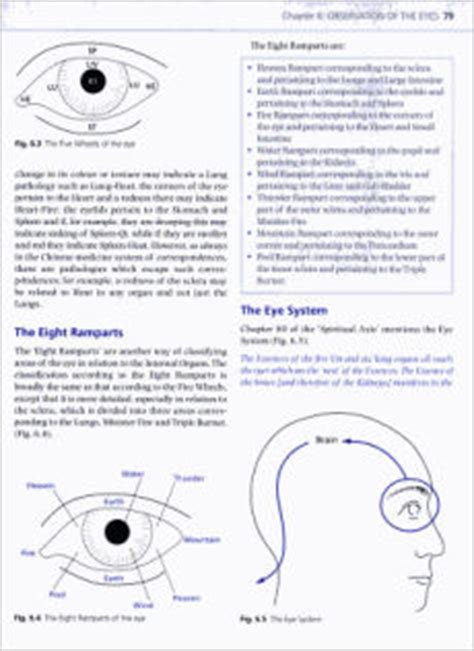 Diagnosis in Chinese Medicine: A Comprehensive Guide