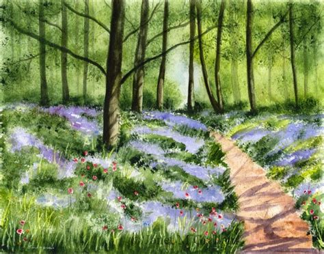 Janet M Graham's Painting Blog: Bluebell Woods in watercolours